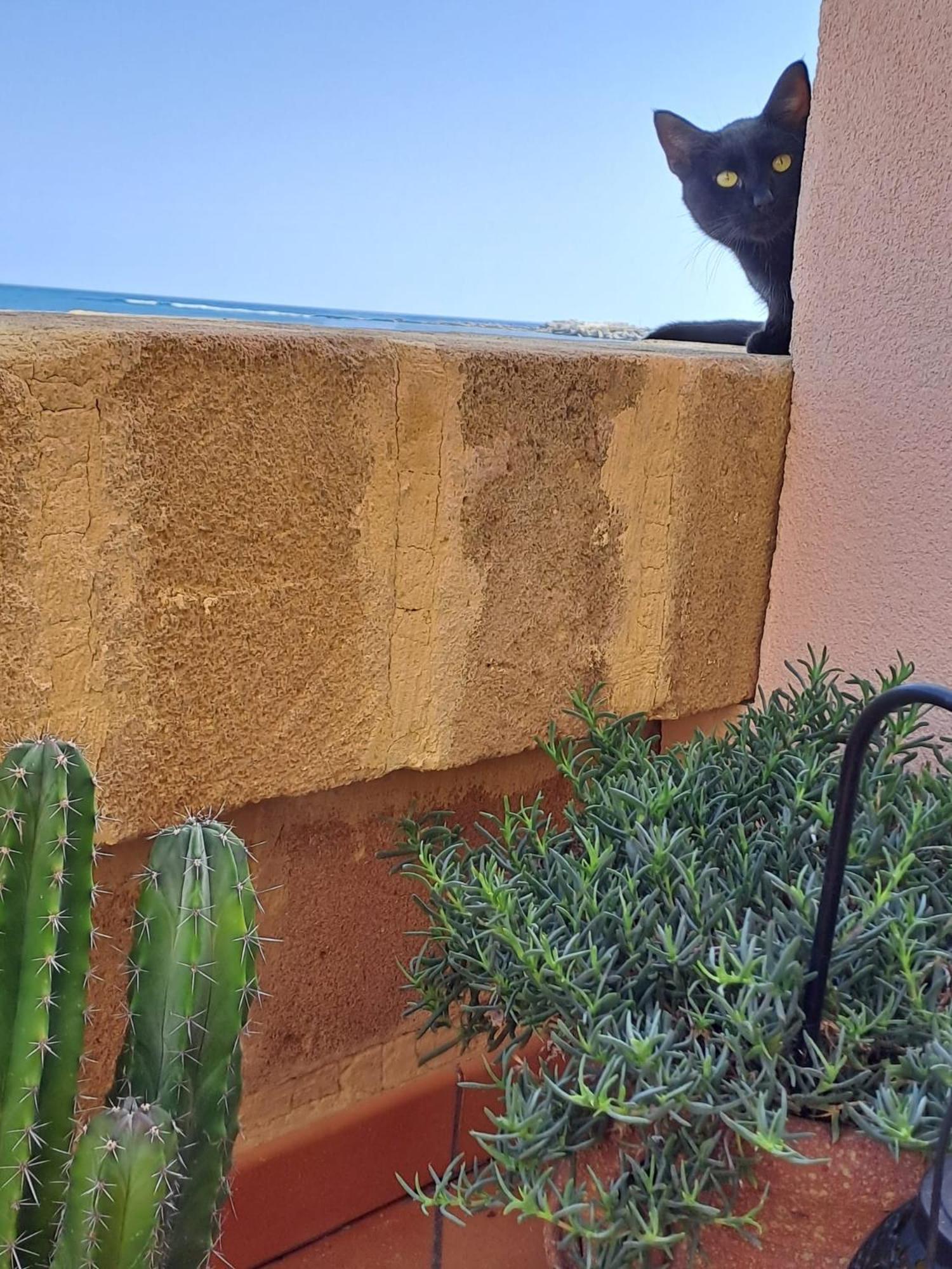 La Casa Sulla Spiaggia مارزاميمي المظهر الخارجي الصورة